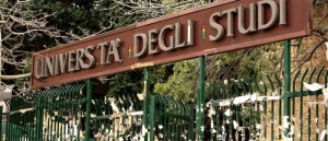 università