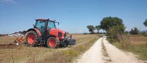 novità codice della strada