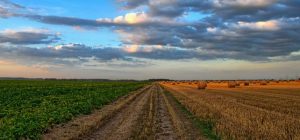 aliquote iva agricoltura