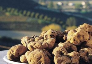 tartufi