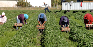 lavoro