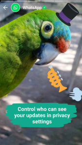 WhatsApp Status: come funziona il nuovo stato? 3 WhatsApp status 2