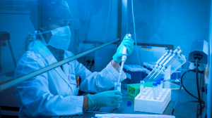 prova dna