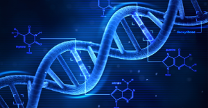 DNA Prova Regina