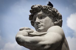 david di michelangelo