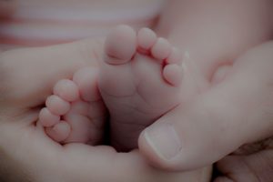 bonus bebè scadenze istruzioni
