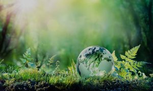 concorso-ministero-ambiente-2019-251-assunzioni