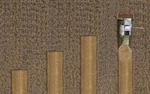 incentivi-giovani-agricoltori-2020