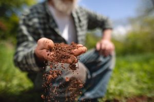 esonero contributivo lavoratori agricoli