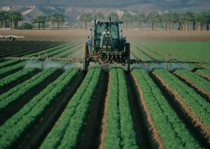 agricoltura contributi 2020