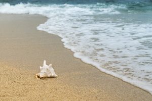 bonus-vacanze-2021-