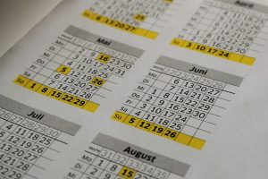 reddito di cittadinanza