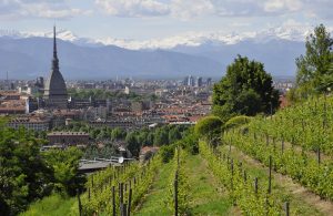 concorso regione piemonte