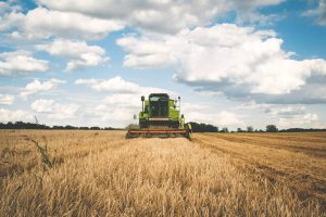 donazioni terreni agricoli
