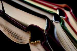 concorsi cosa studiare