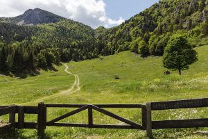 concorso provincia di trento