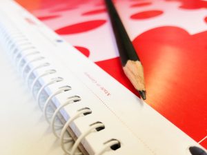 concorsi provincia frosinone