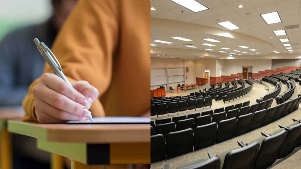 Concorsi Università di Messina 2023, 80 posti: domanda, requisiti e stipendi 1 Concorsi Università di Messina 2023: bandi per 80 nuovi posti