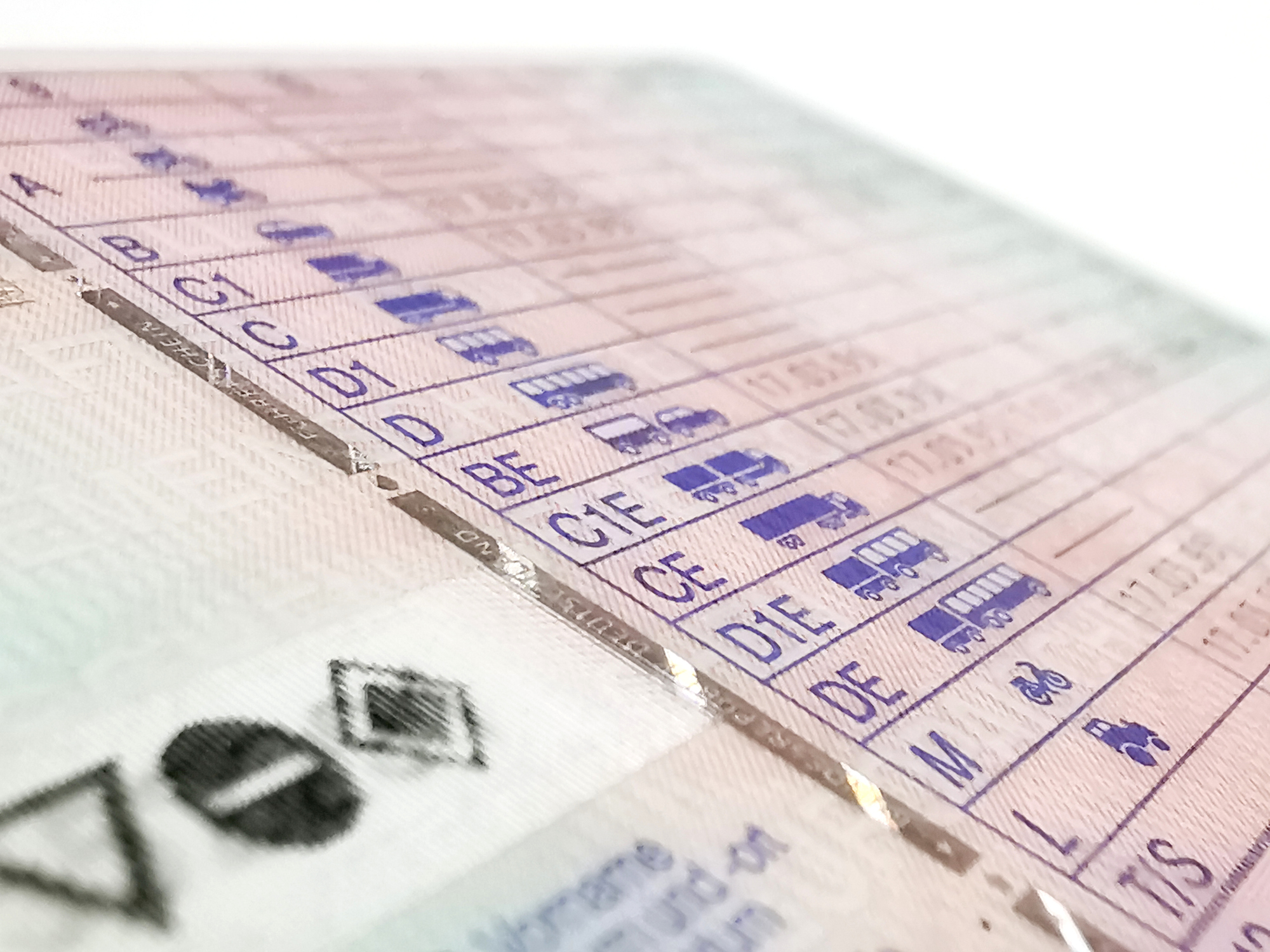 Patente di guida 2024 età, veicoli e regole. Le FAQ utili