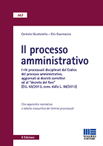 Il processo amministrativo