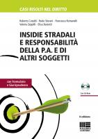 Insidie stradali e responsabilità della P.A. e di altri soggetti