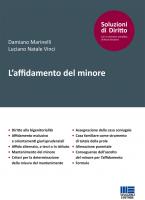 L\'affidamento del minore