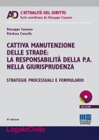 Cattiva manutenzione delle strade: la responsabilità della p.a. nella giurisprudenza